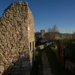 Consigli pratici per raggiungere il porto di Civitavecchia