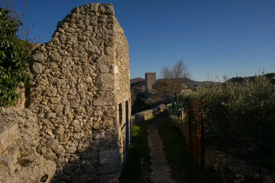 Consigli pratici per raggiungere il porto di Civitavecchia